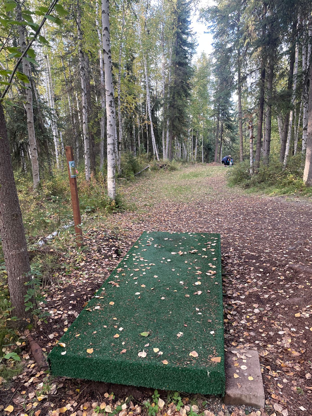 Hole 4 Tee Pad