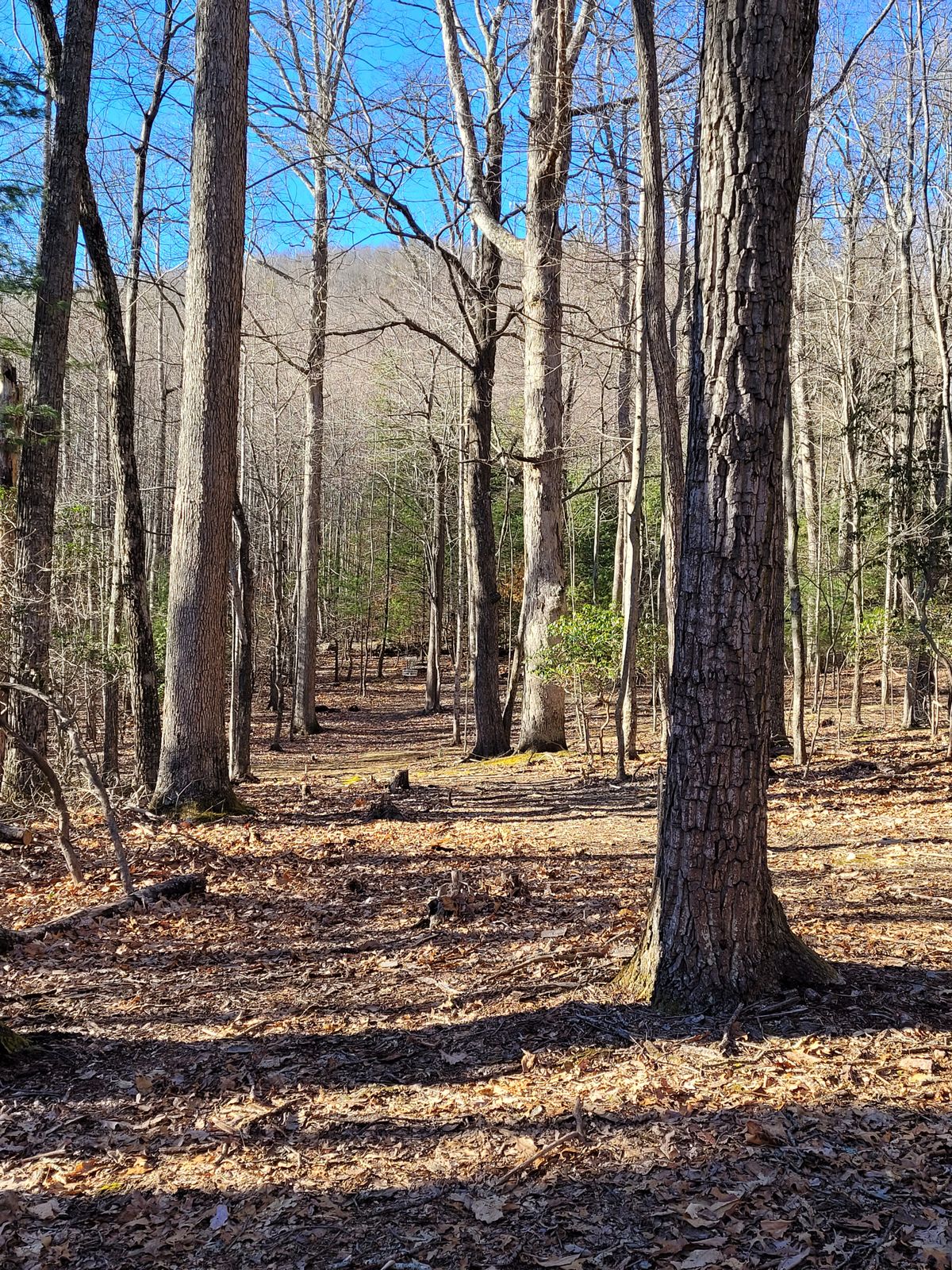 Hole #10 from fairway