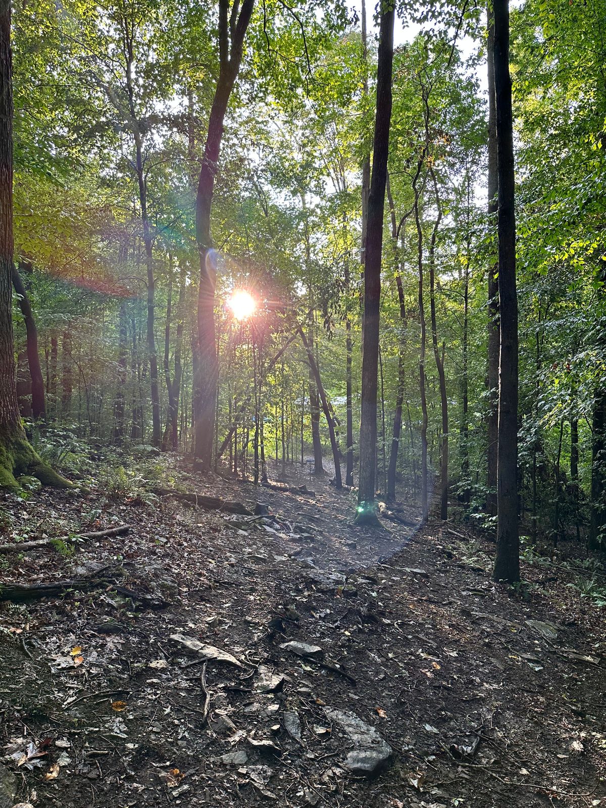 Hole 17
