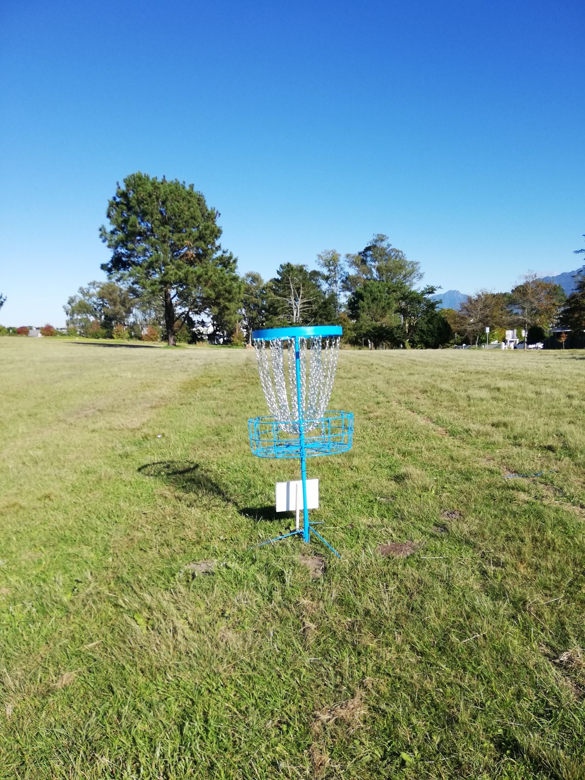 Hole 3 basket.