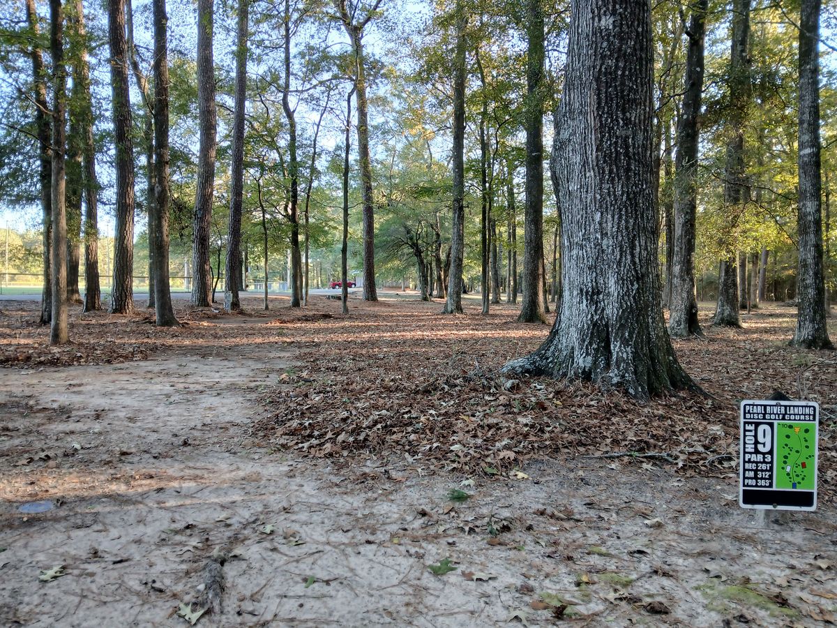 Hole 9 blue tee (long)