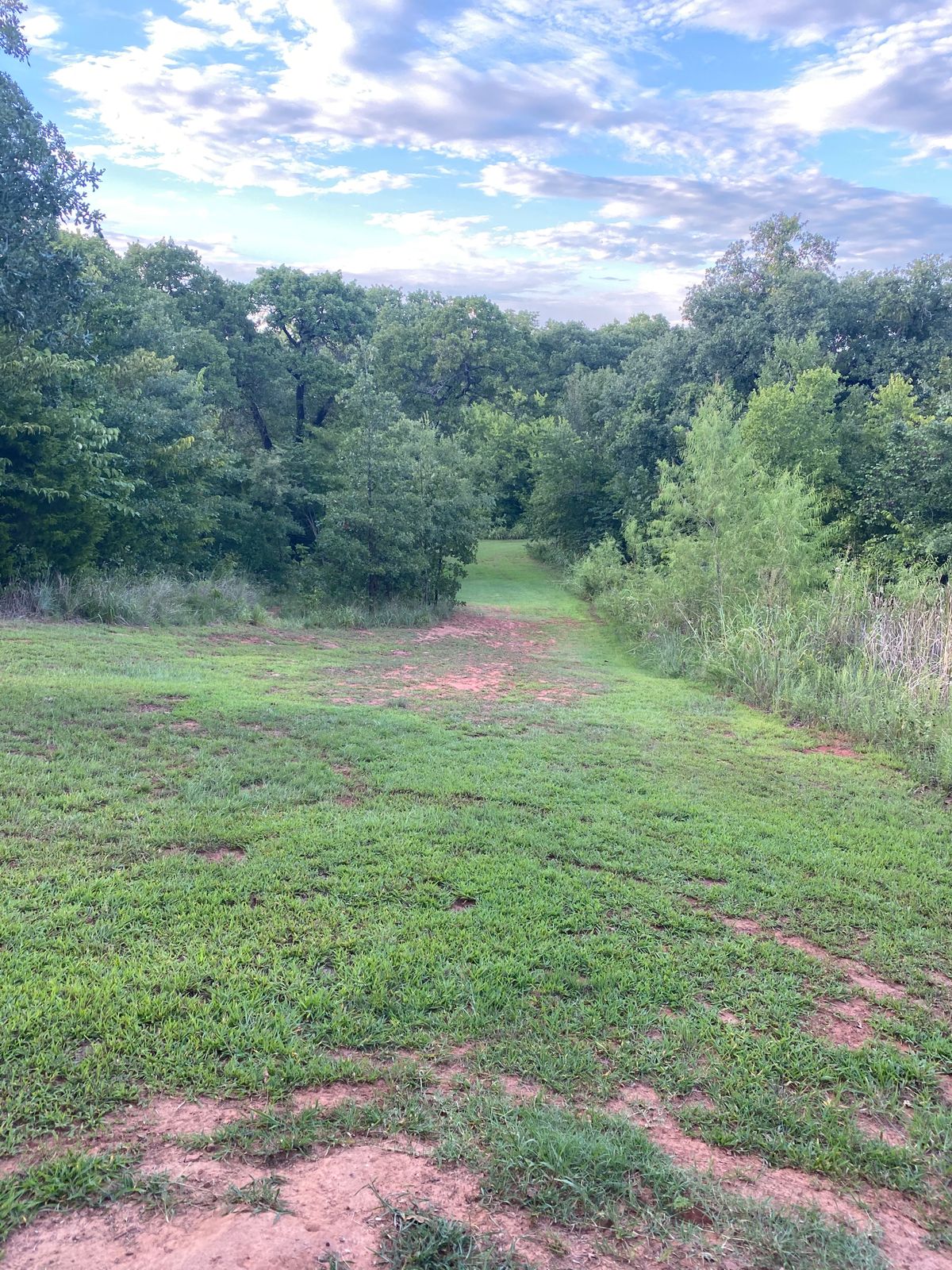 If you play with a partner I recommend they watch your throw from the bottom of this (8) hill.