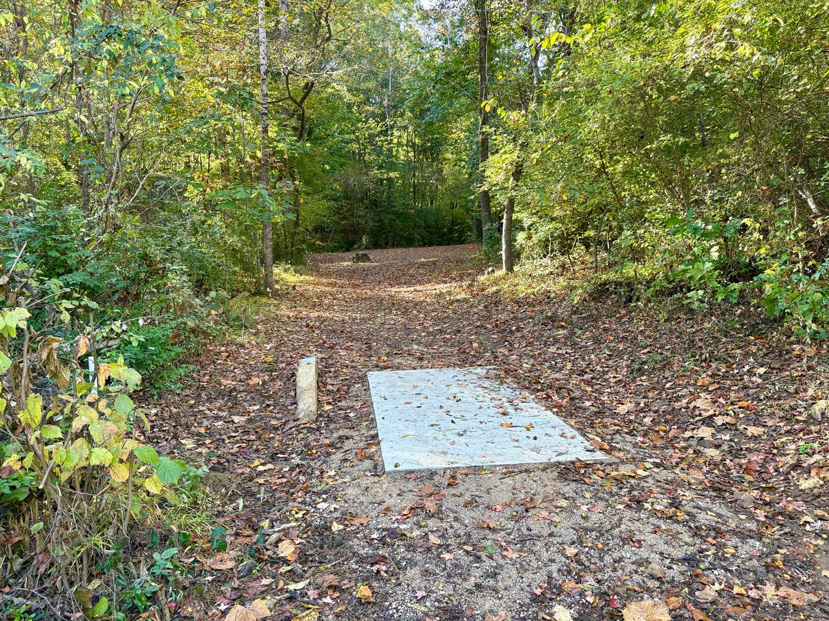 Hole 2 tee