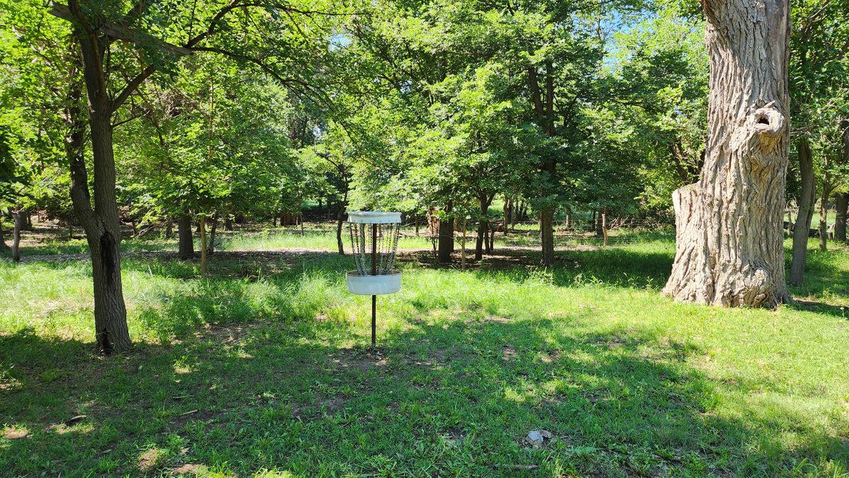 Basket for hole 2, 5 & 8