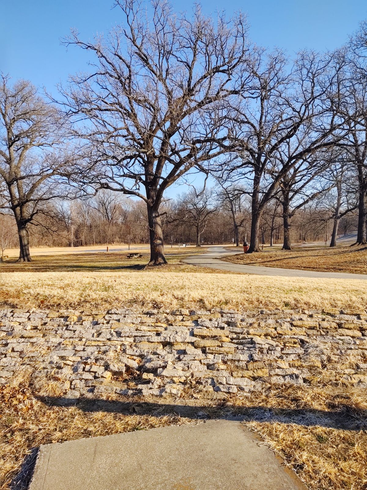 Hole 1 tee