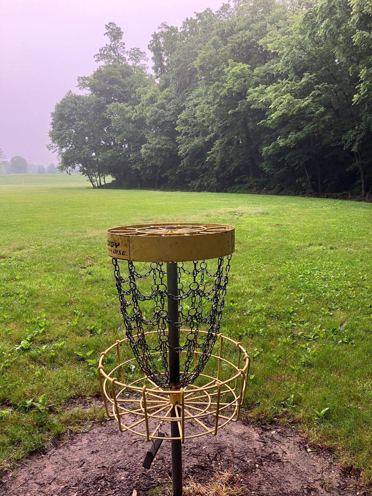 Hole 3 from the basket POV.