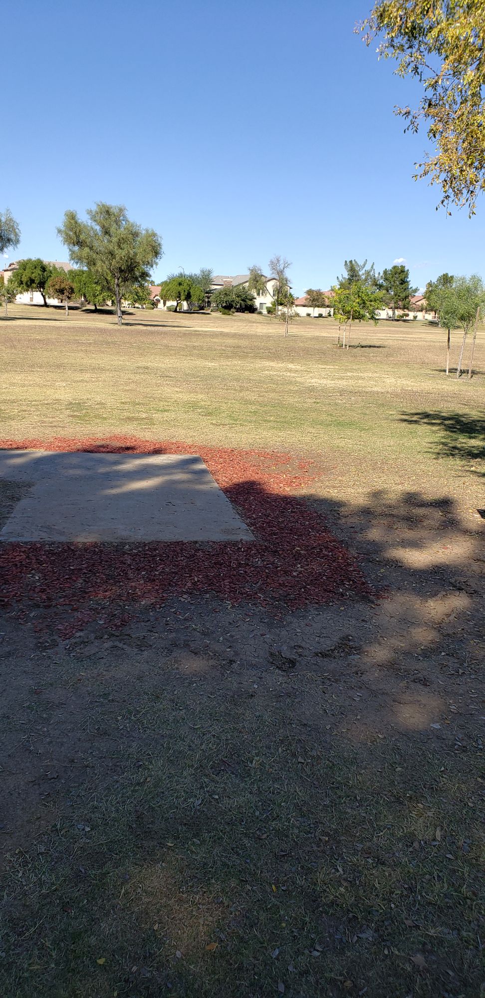 hole 4 tee