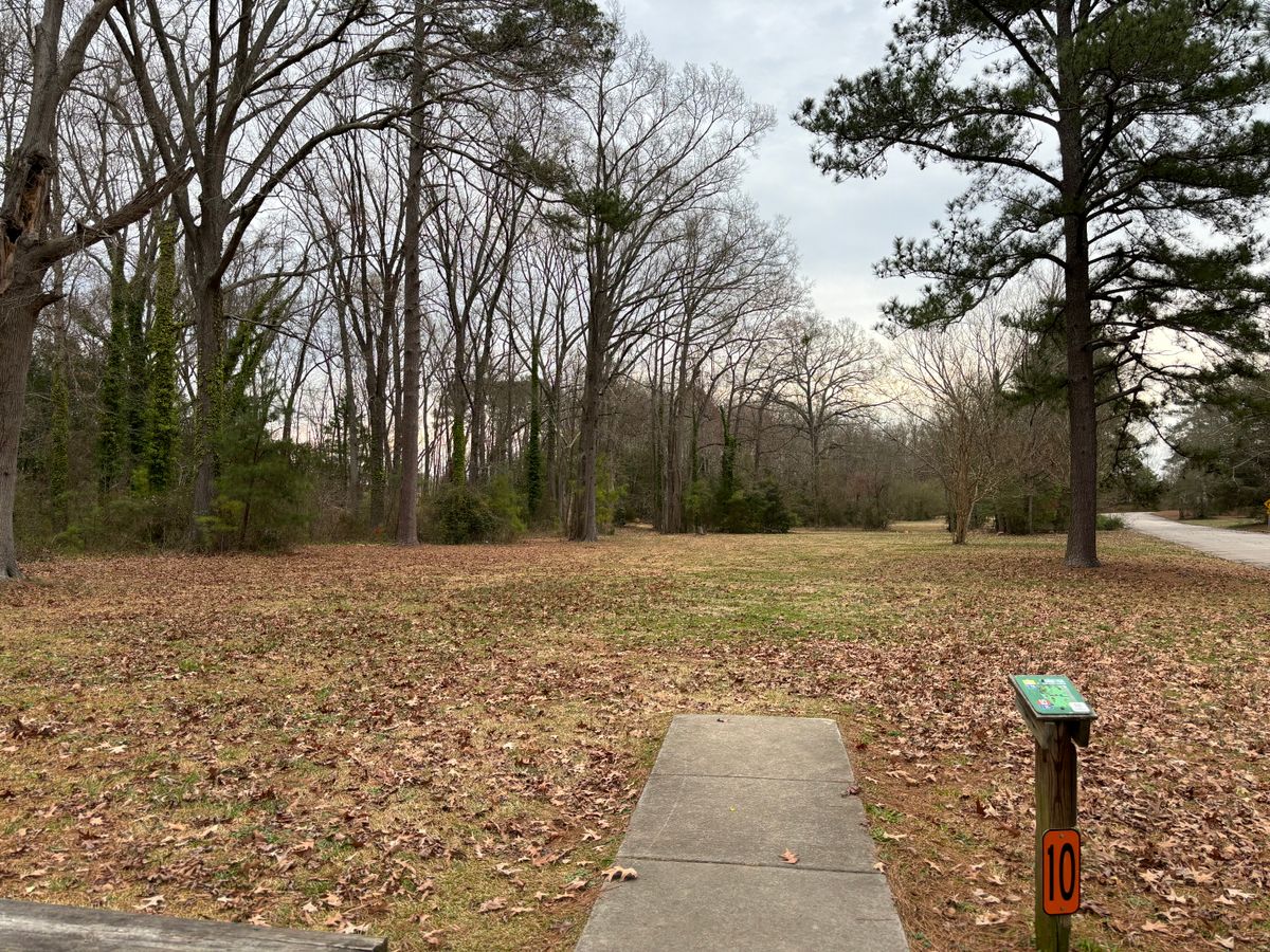 Hole 10 shorts