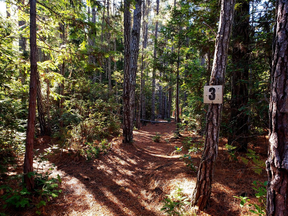 Hole 3