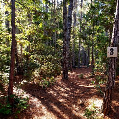 Hole 3
