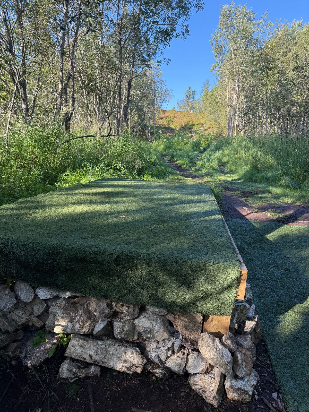Hole11