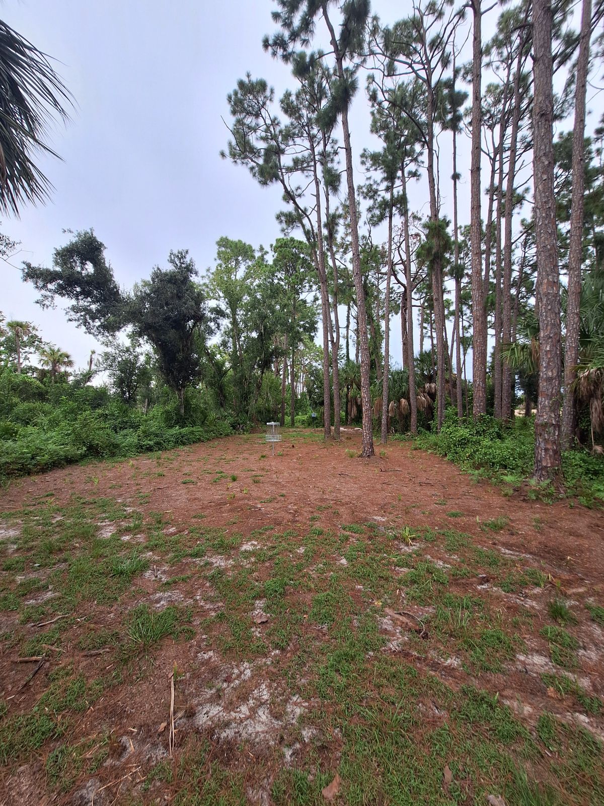 Hole 2 pin location