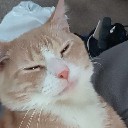 User avatar image