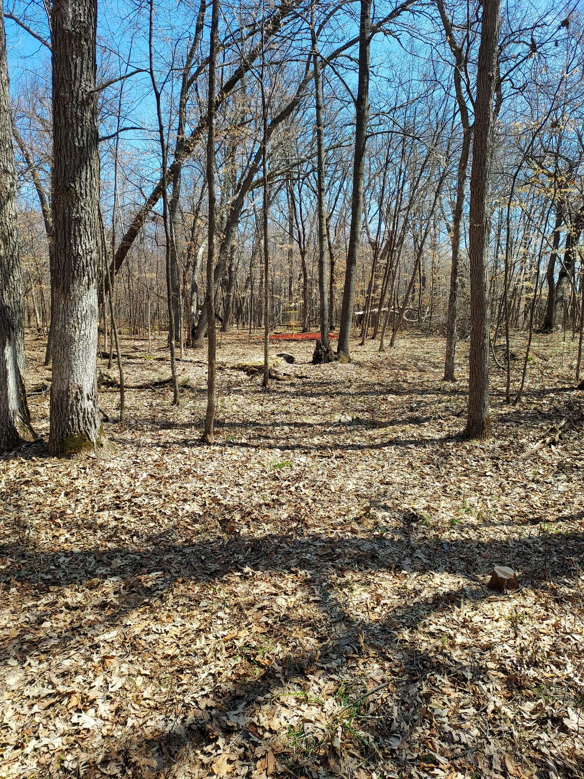 Hole 9