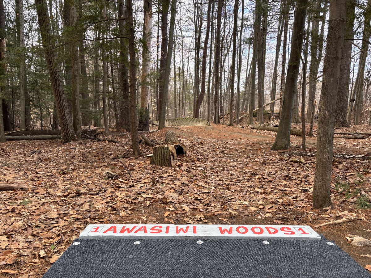 Hole 1 Regular (Grey)