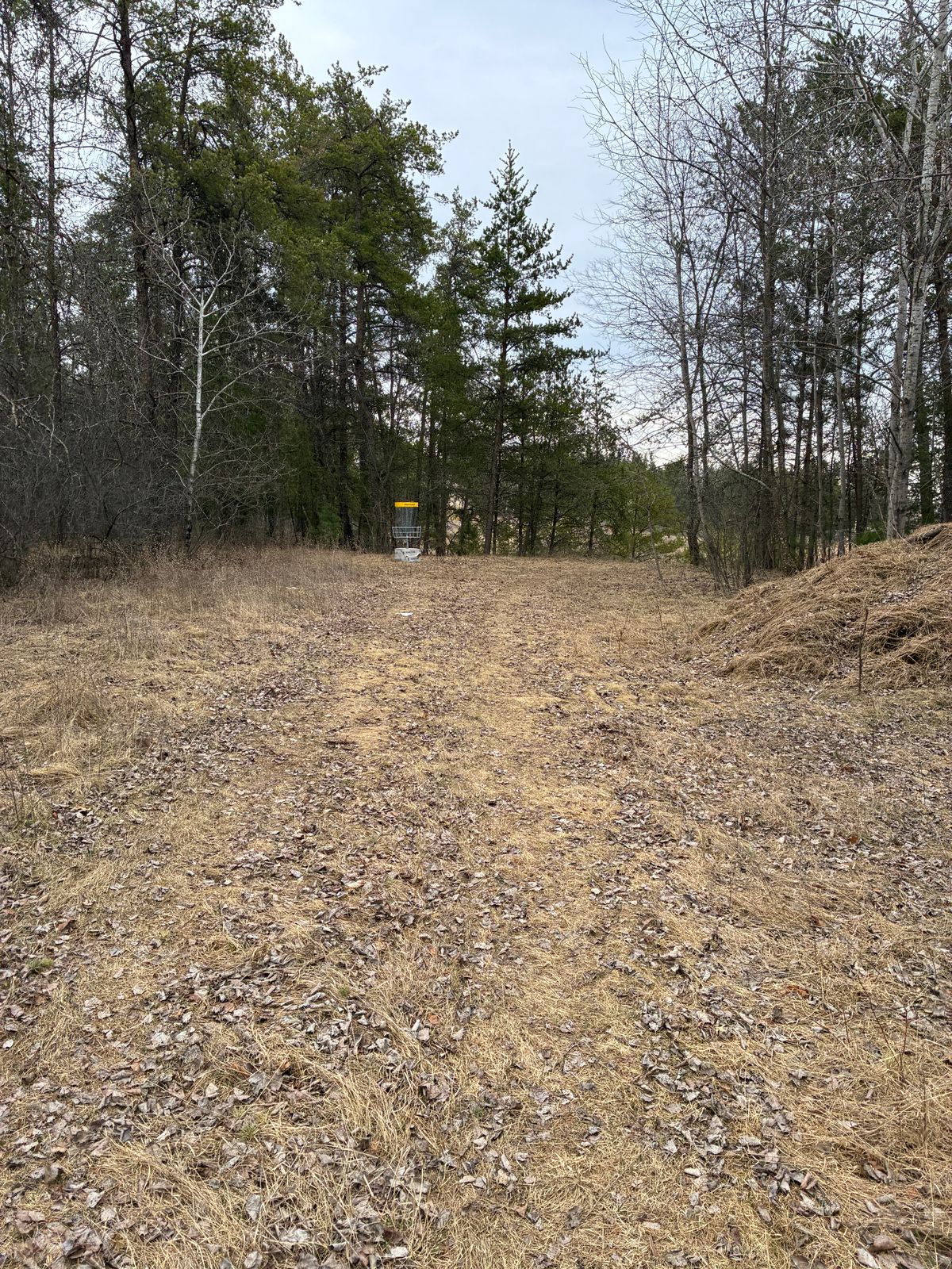 Hole 3