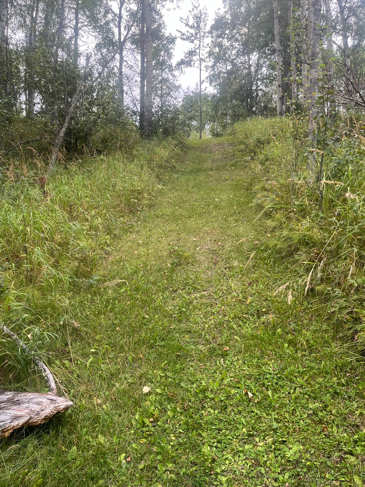3rd Tee
