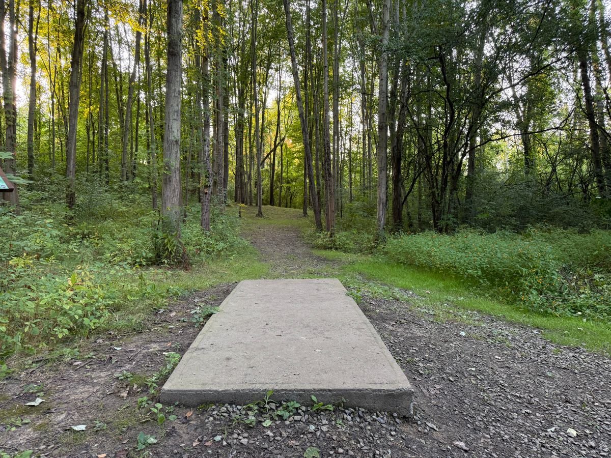 Hole 7 Tee