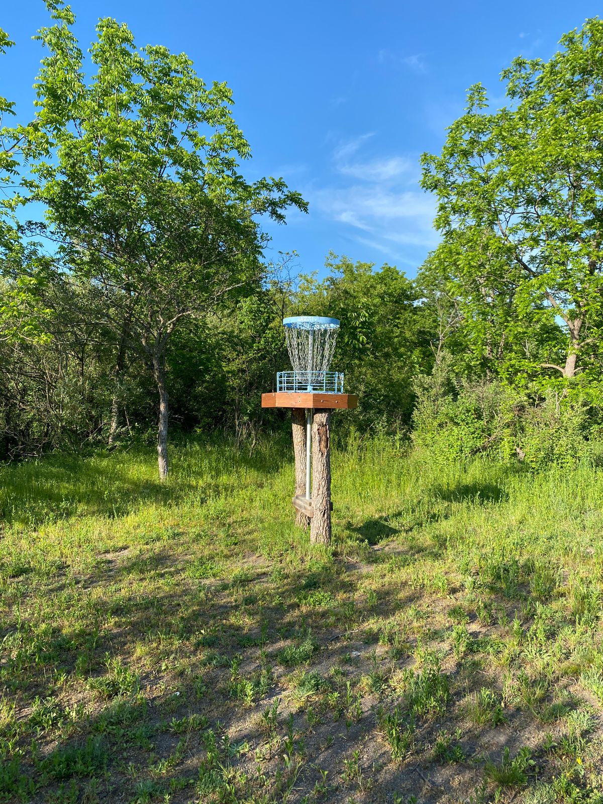 Hole 8 Elevated Basket