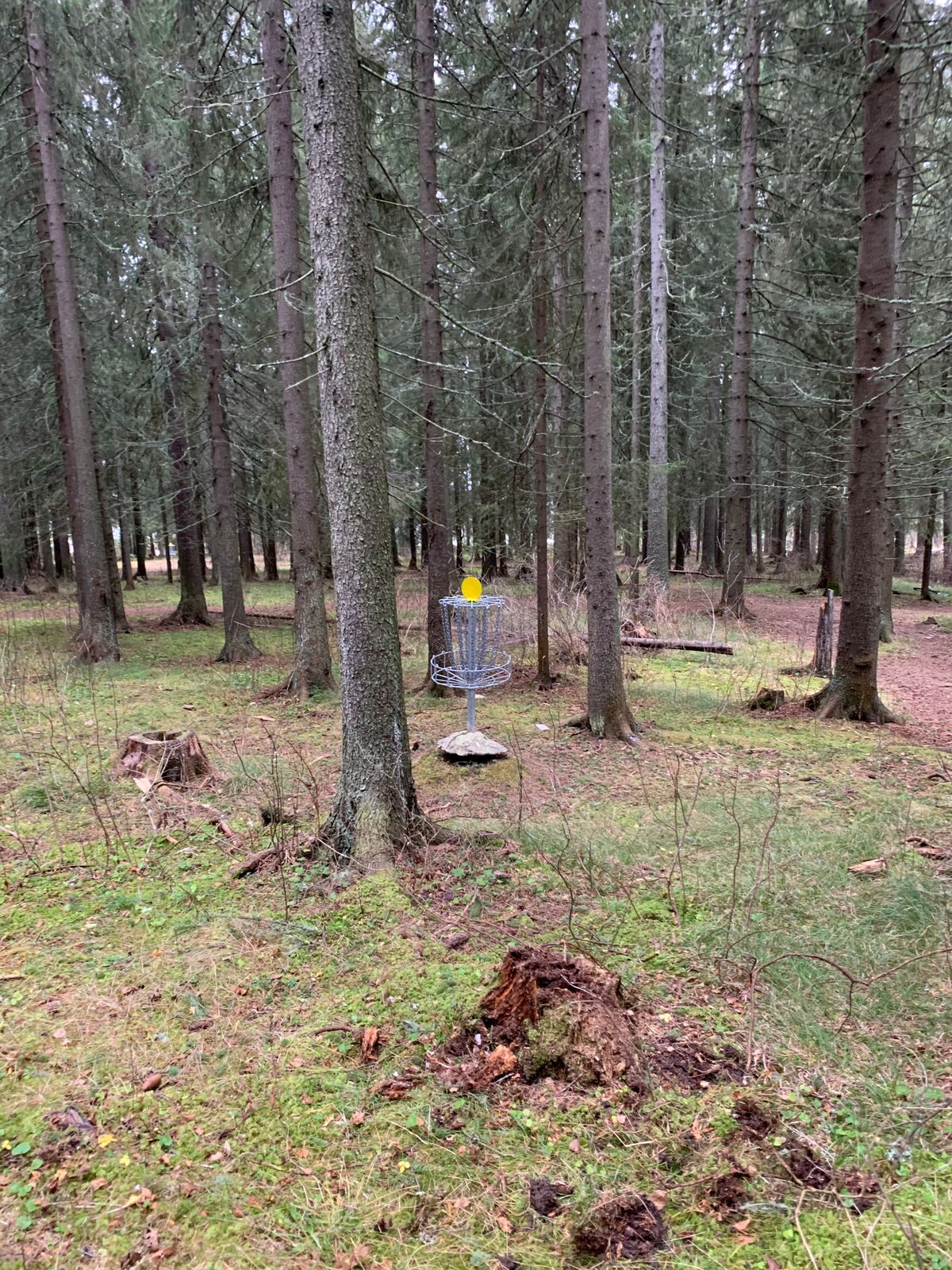 Hål 5s korg