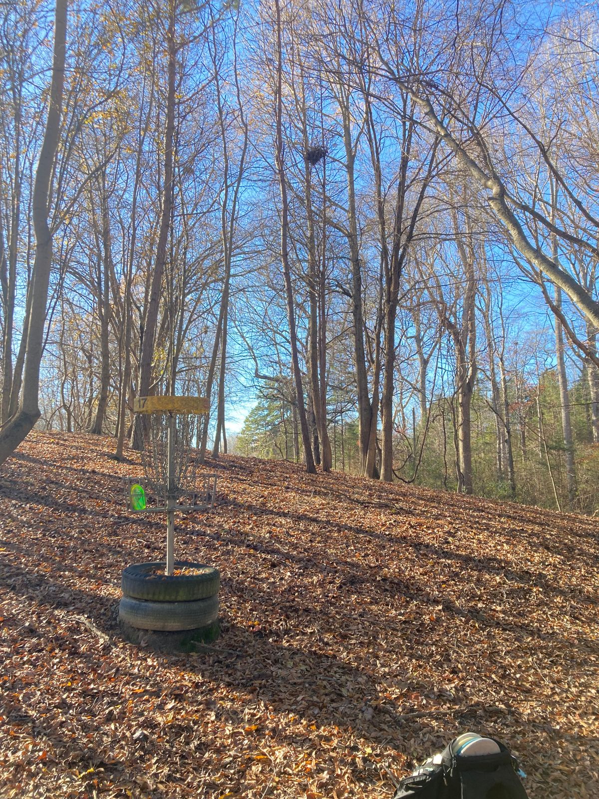Hole 8 Green