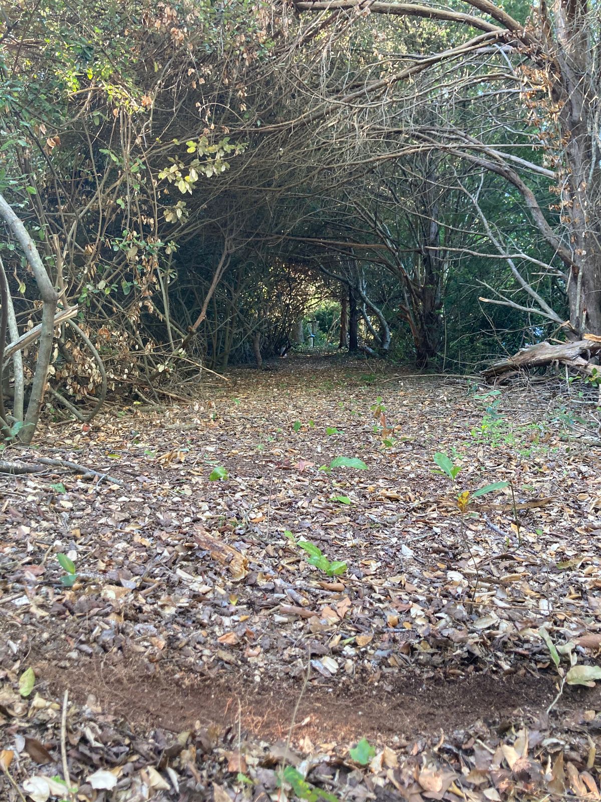 Hole 3 tunnel