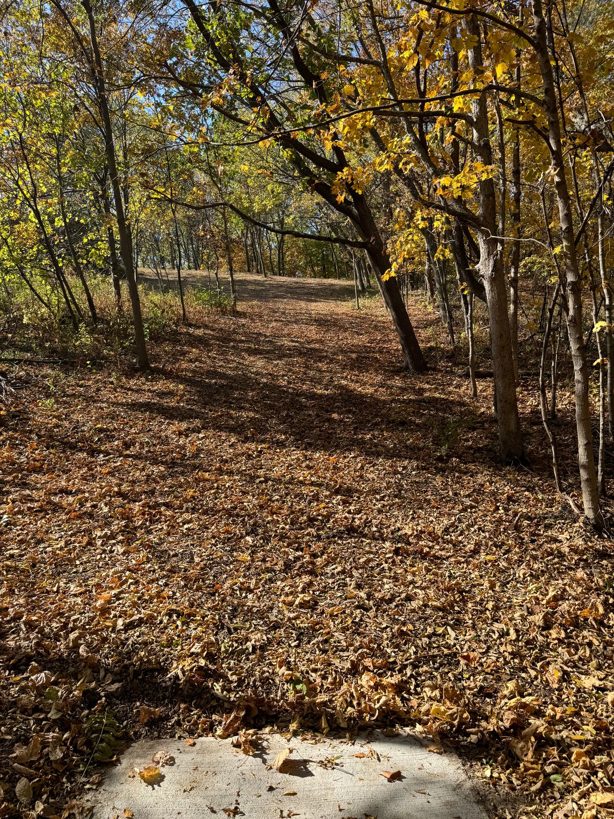Hole 6