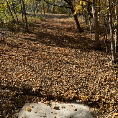 Hole 6