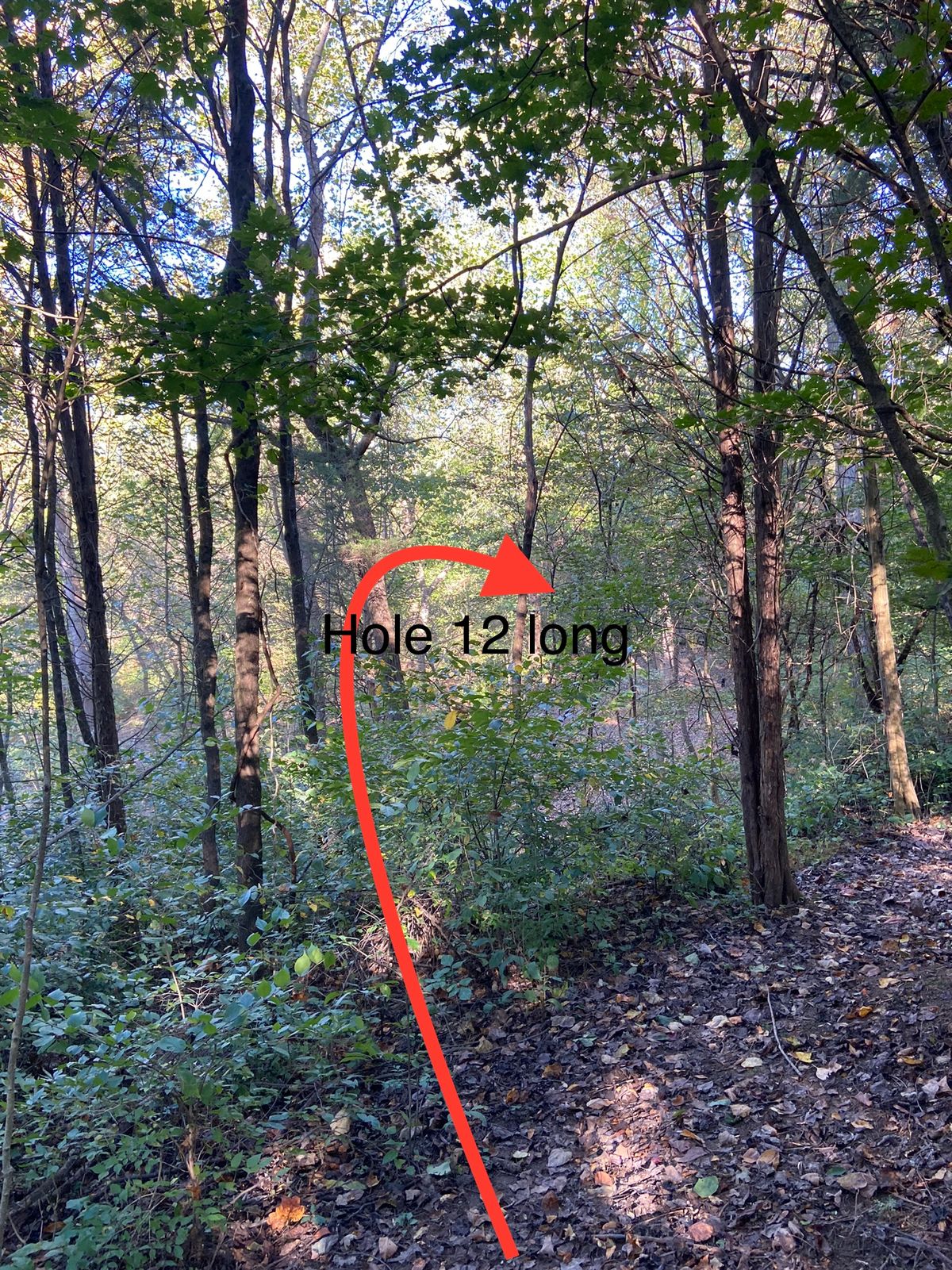Hole 12 long