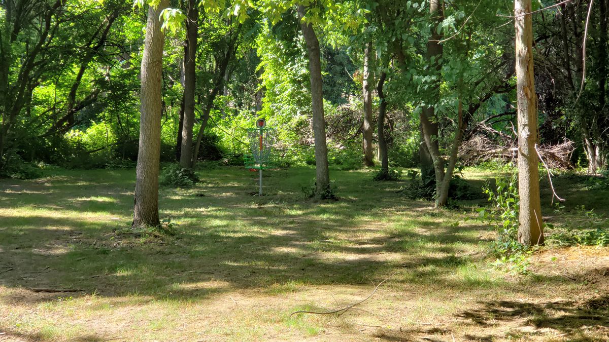 Hole 9 green