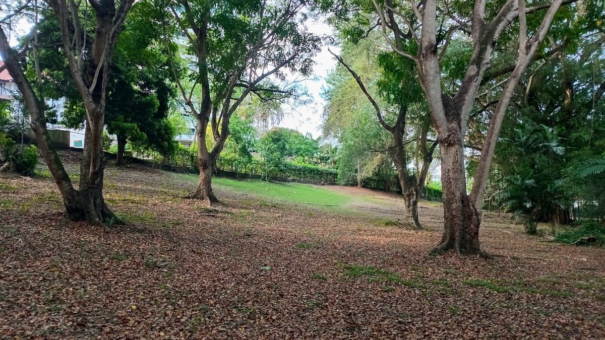 Parque Omar DG Course
Hole 1 Target