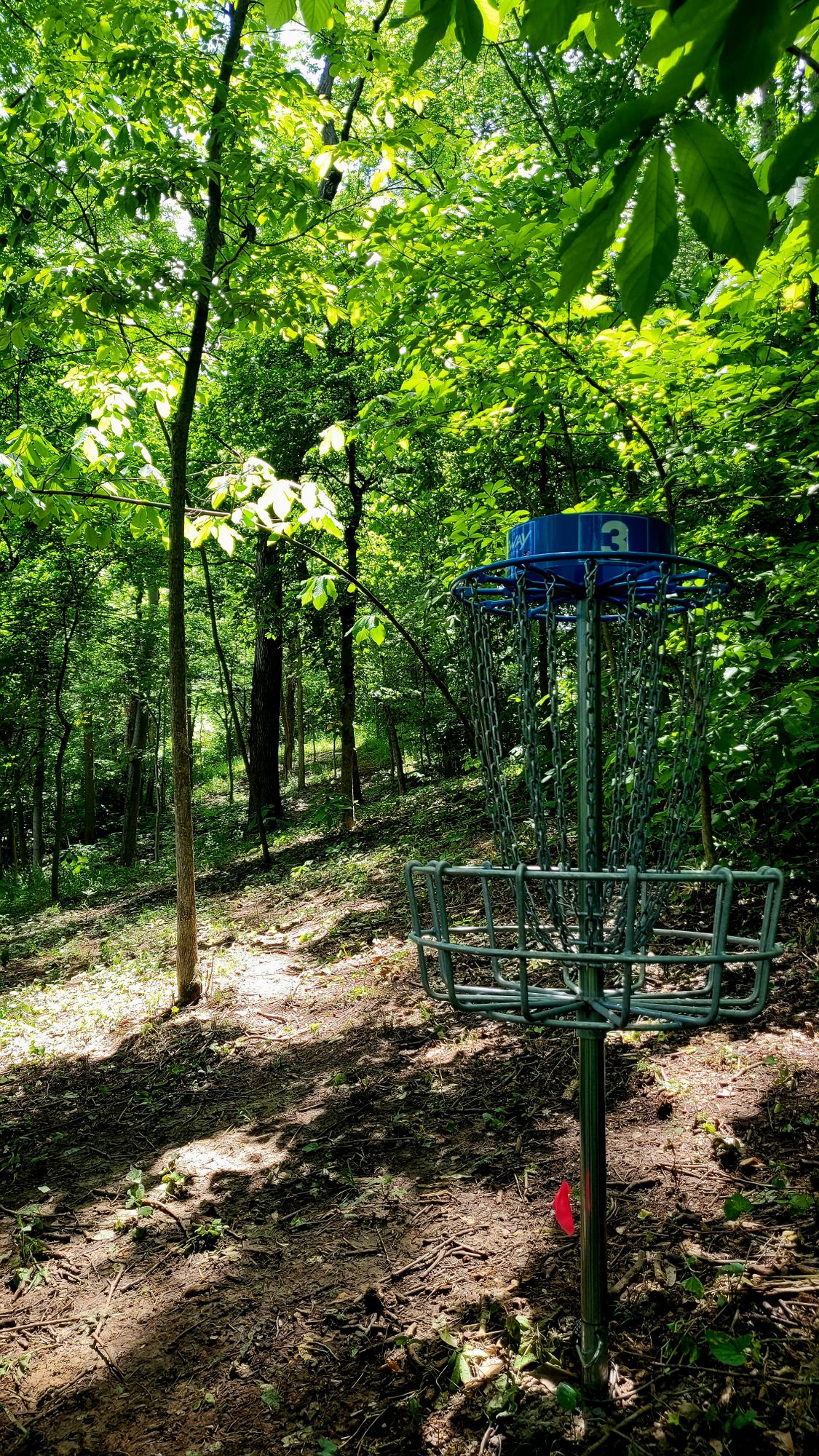 Hole 3
Basket to Fairway