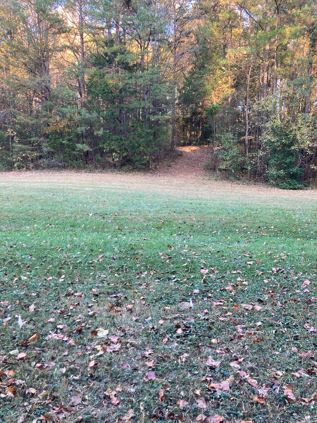 Hole 5. Throwing from the field Into the woods