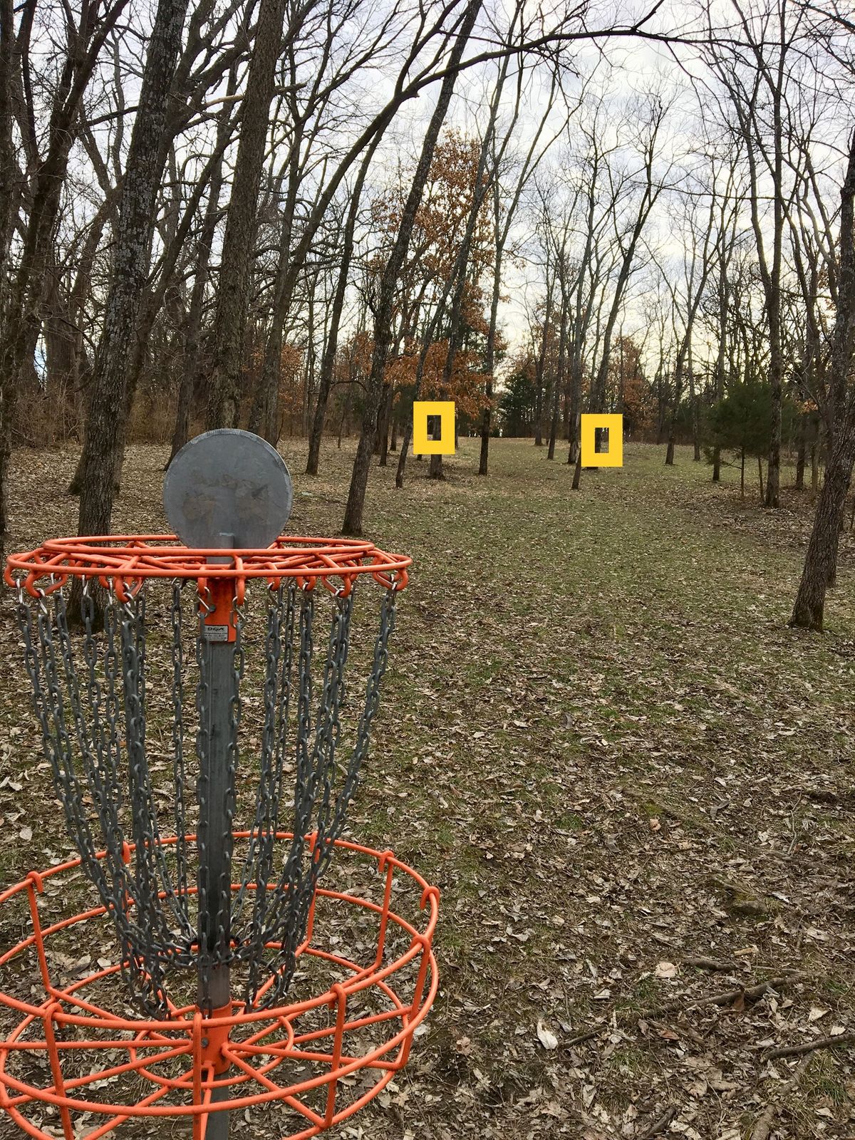 Hole 3 Basket to Tee