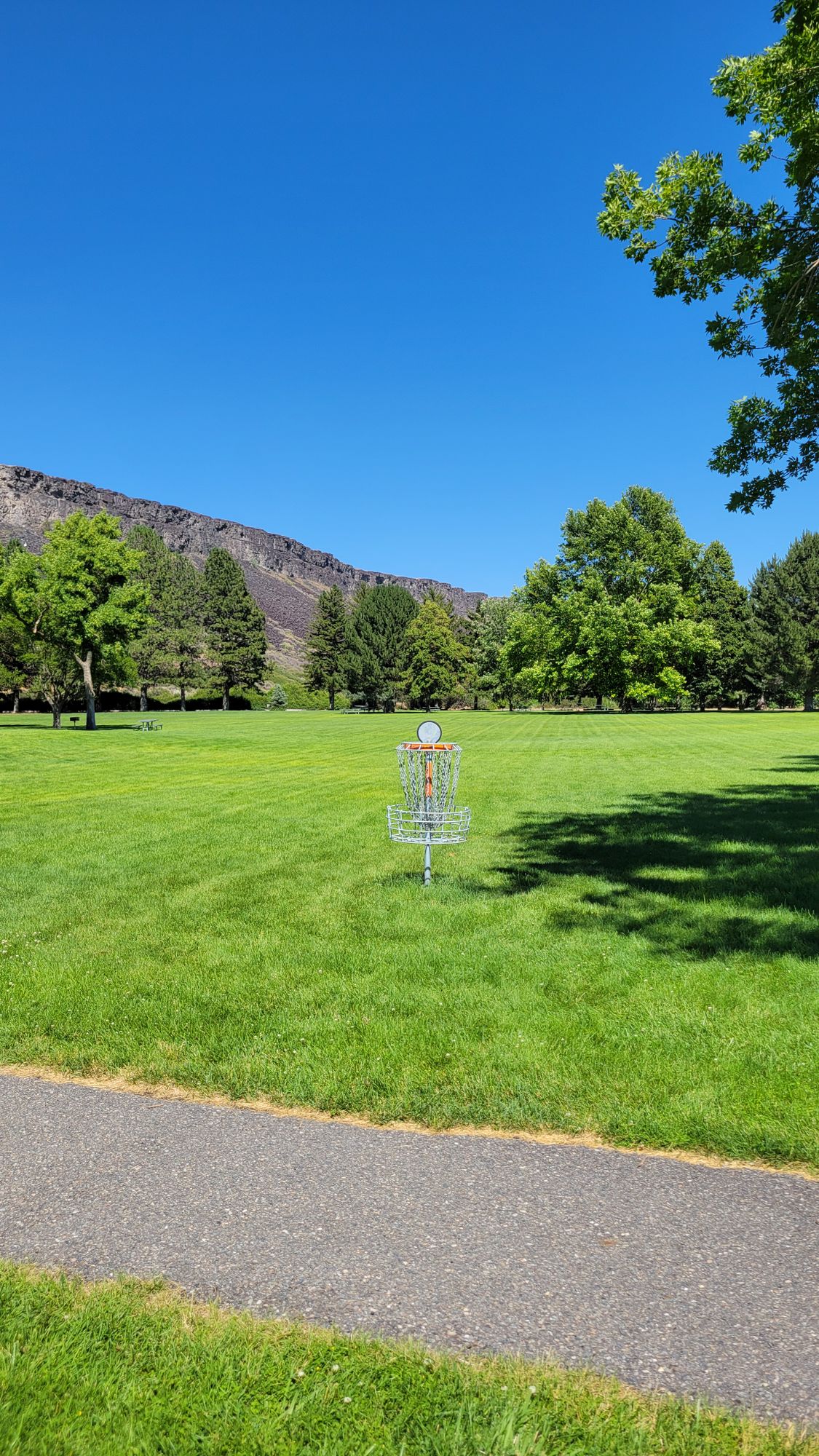 Hole 2 basket