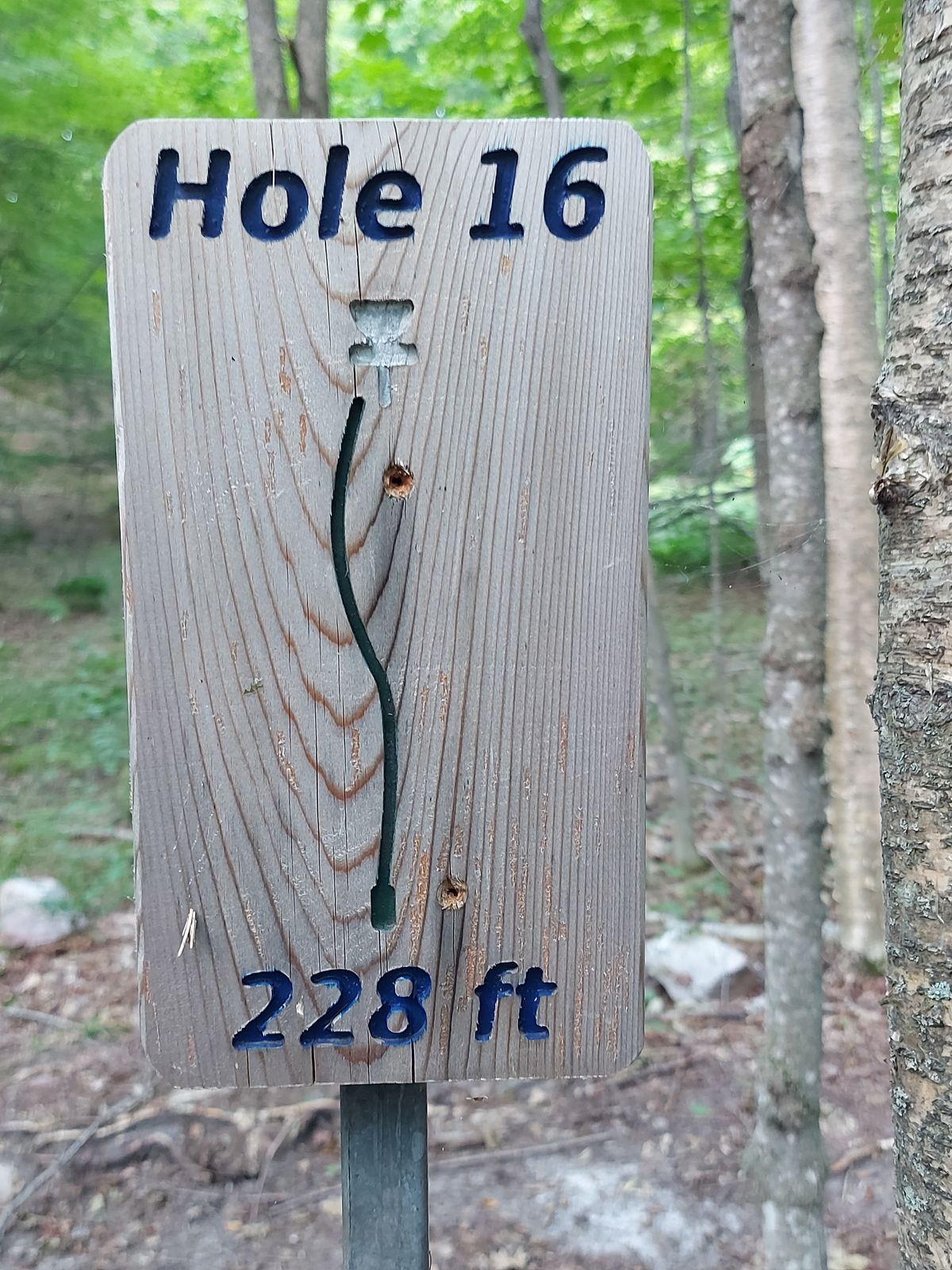 Hole sign #16.🪨🪵🪨🪵