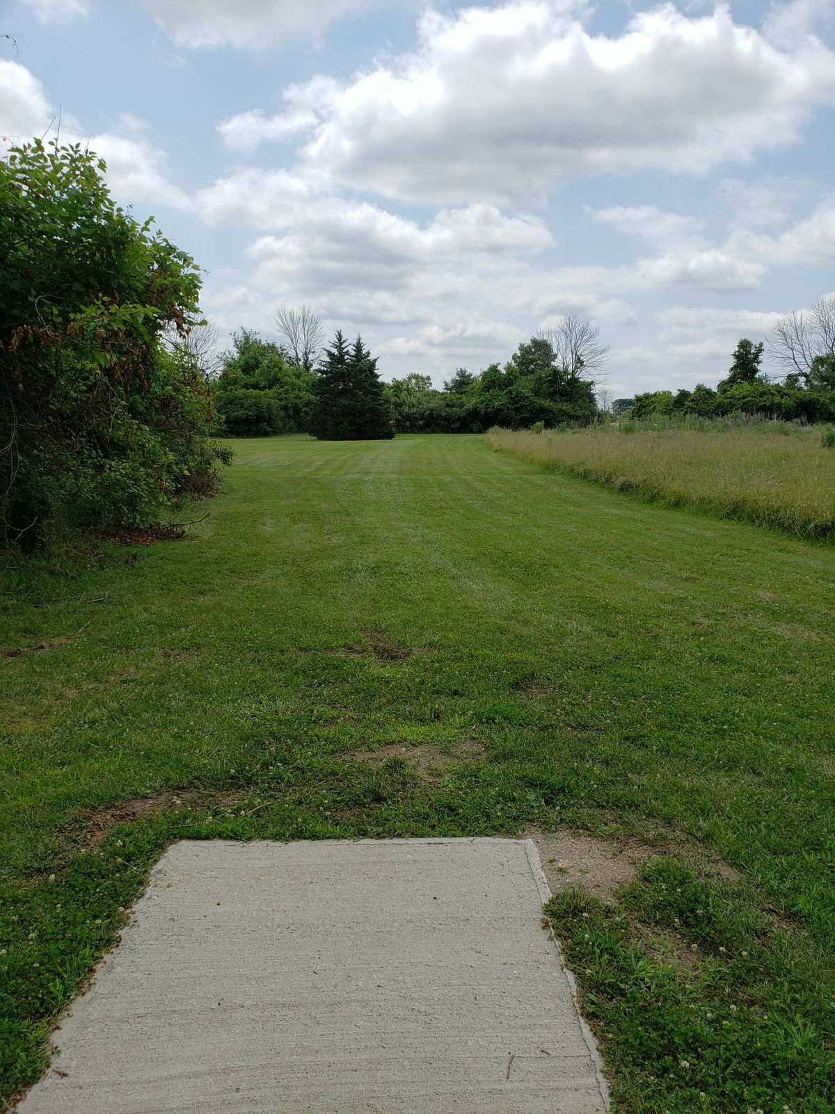 Another #15 Fairway view.