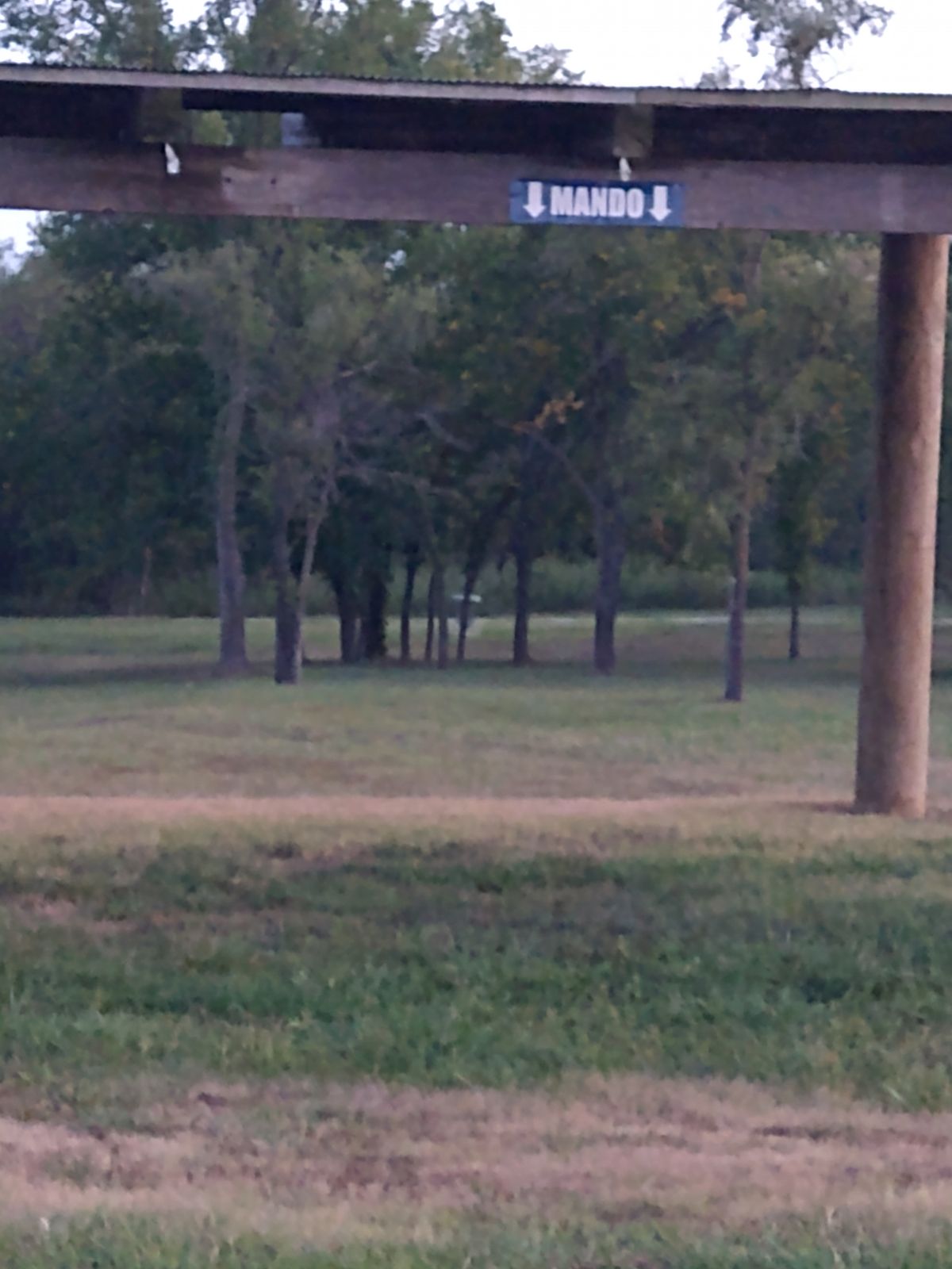 Basket is behind the clump of tree. Shared basket with the 5th.