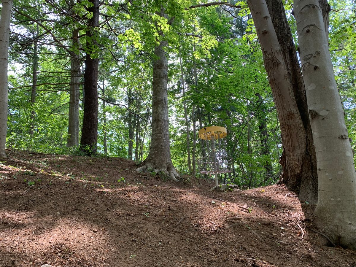Hole 7 - par 4 dogleg right
