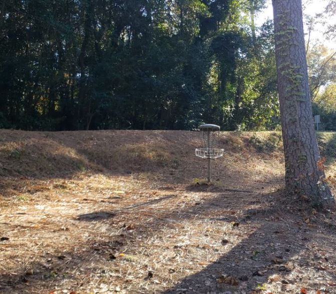 Hole #8 Basket