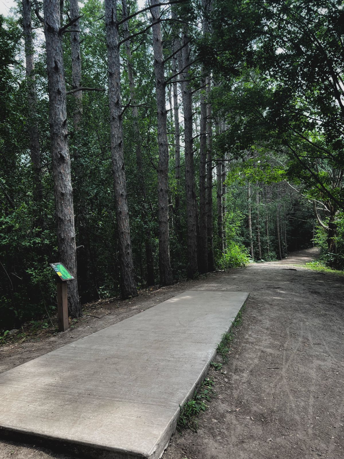 Tee of hole 4, great forehand line.