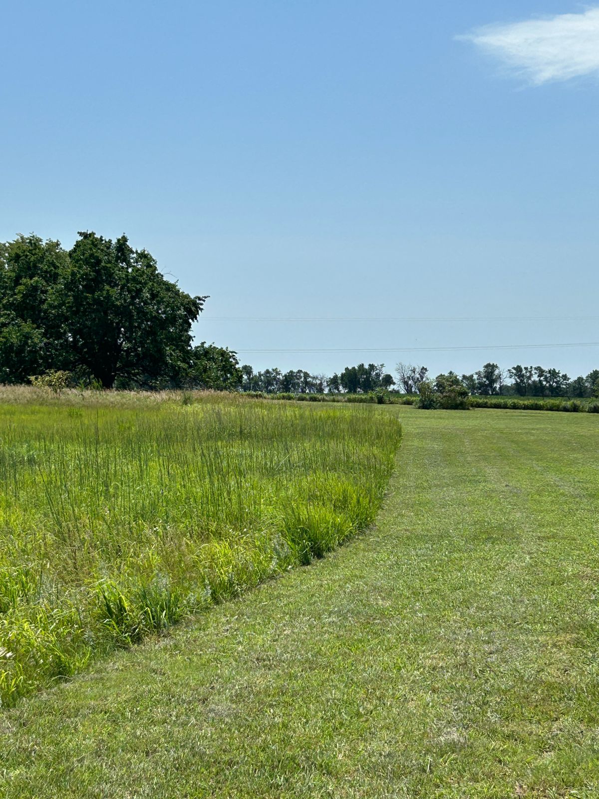 Hole 2