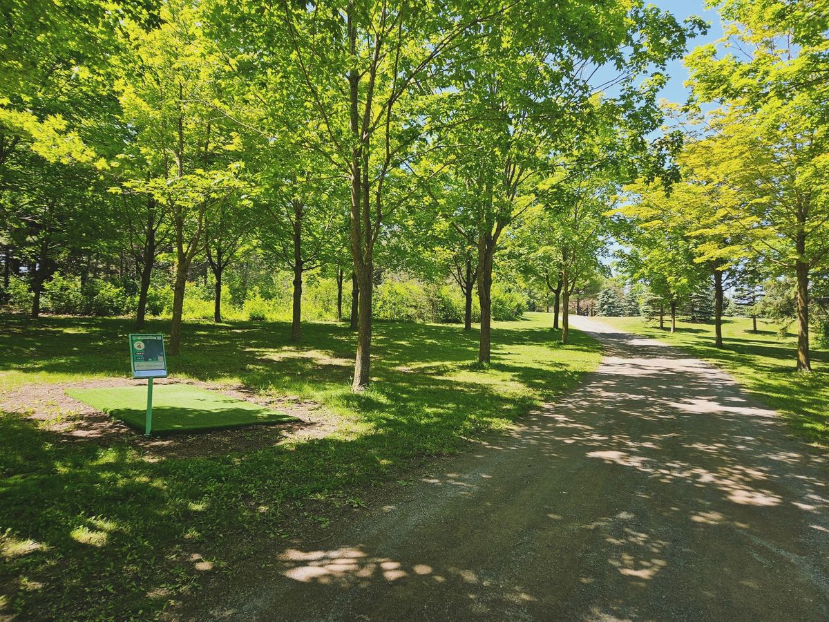 Hole 4 Longs