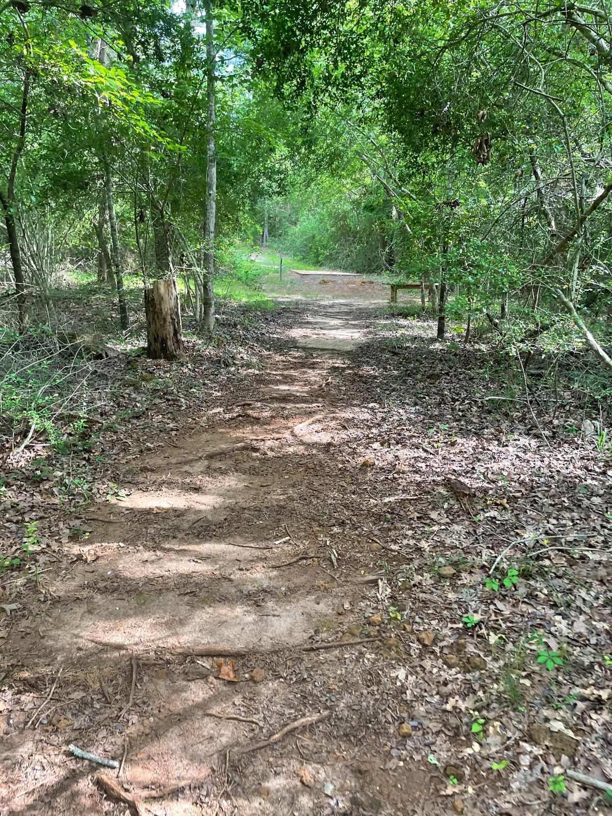 Hole 4 entrance