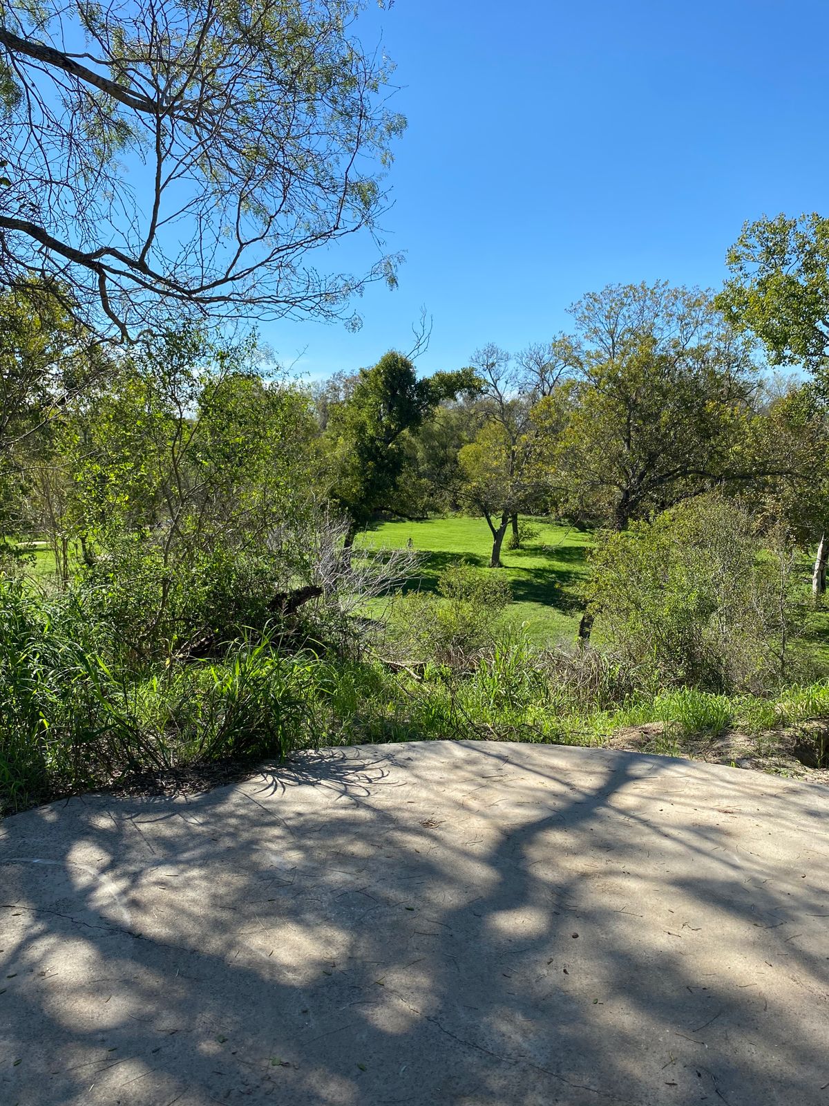 Hole 15 Fall
