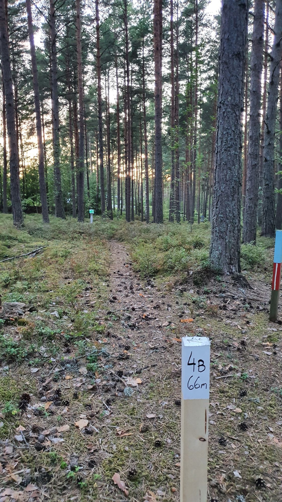 4B tiipaikka