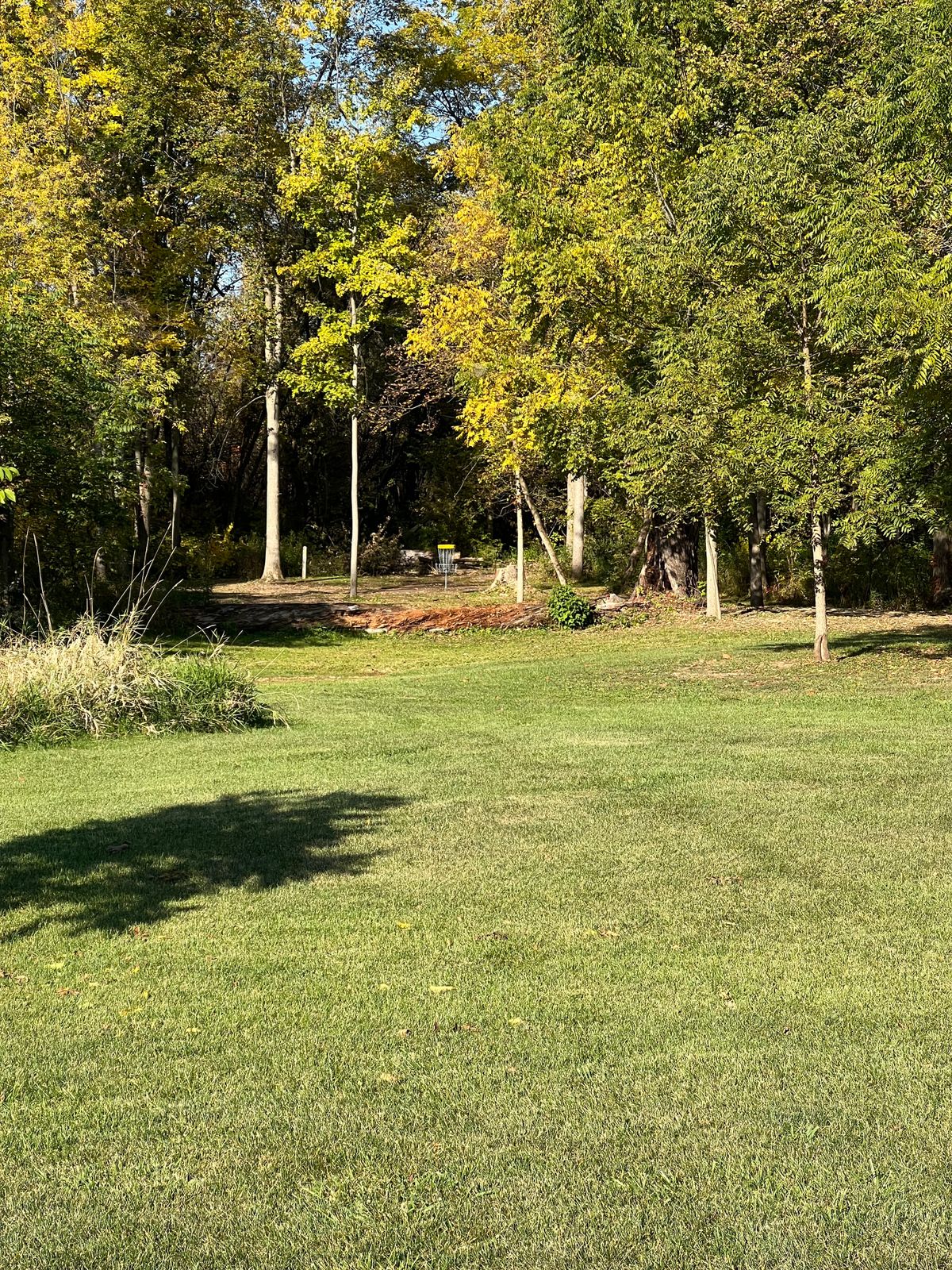 Hole 6 fairway to long basket