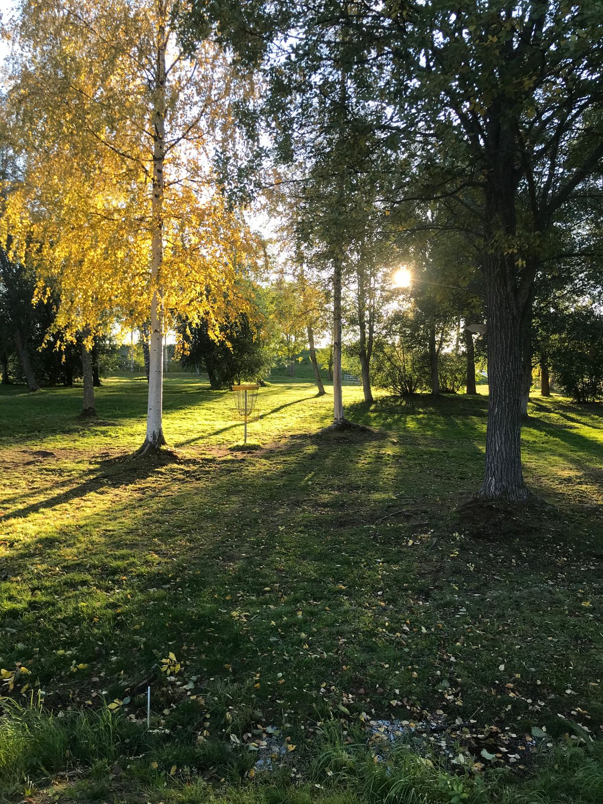 Green på gamla hål 17