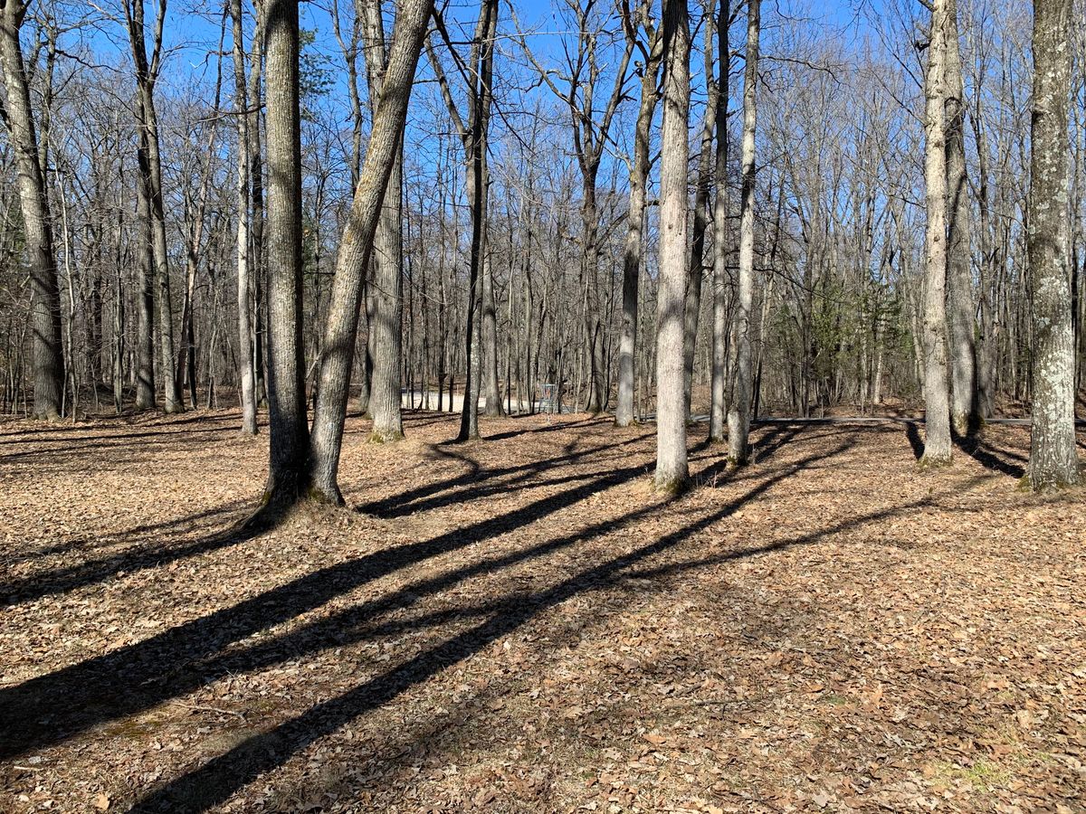 Hole 6 approach