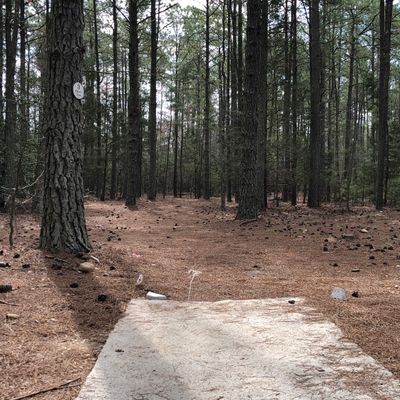 Hole 3